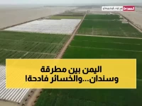 رسمياً: الفاو تطلق تحذيراً أحمر للمزارعين اليمنيين.. المحاصيل في خطر حقيقي