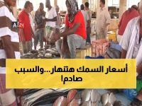 بشرى للمستهلك وصدمة للتاجر: هل تعود أسماك اليمن لموائد المواطنين أخيراً؟