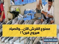 كنز اليمن الأصفر في خطر.. كيف يهدد قرار دولي لقمة عيش الصياد اليمني؟
