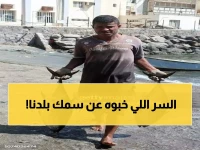 السر الذي لم يُعلن عن قرار منع تصدير الأسماك.. من المستفيد الحقيقي؟