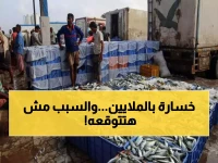 كارثة للصيادين: اليمن يخسر 10,000 طن من التونة.. والسبب سيصدمك!