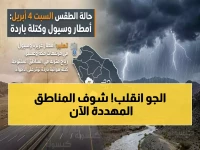 عاجل: أمطار رعدية تضرب 8 مناطق سعودية اليوم - تحذير من انخفاض حاد في درجات الحرارة شمالاً!