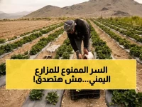 مزارع واحد في اليمن يخفي سراً رياضياً محرماً... 31% فقط هي من يكشف عن هندسته البشرية الأسطورية.