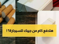 قررت رفع سعر العبوة.. كم تدفع 'الشركة الشرقية للدخان' يومياً من جيب المدخن العادي؟ (48 جنيهاً)