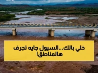 عاجل: تحذير خطير من الأرصاد لـ 14 محافظة يمنية… أمطار رعدية وسيول جارفة قد تغلق طرق الجبال!