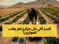 سر اكتشفه مزارع في عزلة تعز.. كان المحرك خلف زيادة الإنتاج الوطني بنسبة 21%