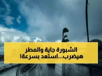 عاجل: الأرصاد تحذّر.. شبورة كثيفة وأمطار مفاجئة تضرب مناطقك غدًا - حالة الطقس تنقلب بشكل خطير!