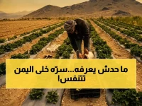 مزارع مجهول في تعز يخفي سراً 9 سنوات... والنتيجة: زيادة الإنتاج الوطني للحبوب في اليمن بـ 21%
