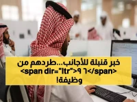حصري: السعودية تُطلق أكبر عملية توطين في تاريخها - 69 مهنة بنسبة 100% وتدعمها هذه البرامج القوية!