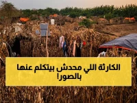 عاجل: كارثة إنسانية في اليمن - الأمطار الغزيرة تغرق مدنًا كاملة وتدفن العائلات تحت الأنقاض… منظمة أممية تحذر من "موجة نزوح جماعي"