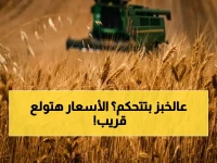 عاجل: صدمة في الأسواق العالمية.. صناديق التحوط تتوقع صعود القمح لأول مرة منذ 4 سنوات والسبب خطير!