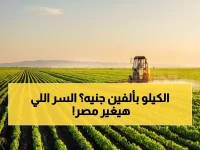 عاجل: مصر تستهدف إنتاج 50% من احتياجاتها من القمح قريبًا.. وهذه هي الطريقة السرية التي ستدهش العالم!