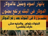 عاجل: سعر الدولار اليوم في مصر ينفجر لأرقام غير مسبوقة… هل يحقق أهداف 2026 المدوية قبل الموعد؟