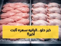 عاجل: أسعار البانيه تستقر في مفاجأة سارة للمصريين… الكيلو بين 230 و240 جنيهاً اليوم الثلاثاء 7 أبريل