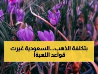 عاجل: السعودية تكشف سر الزعفران الذهبي… 500 ألف نبتة في 10 مناطق تقلب السوق العالمية!