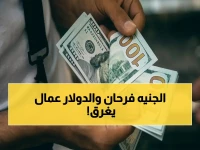 عاجل: الدولار يسقط صاروخياً في البنوك المحلية خلال ساعات.. خسارة قياسية بلغت 1.37 جنيه وتراجع مفاجئ لهذا السعر!