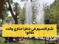 قبل الخروج للمتنزهات.. تحذير عاجل من الأرصاد يهدد احتفالات المصريين بشم النسيم 2026