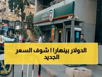 خلف الأرقام: هبوط صادم لسعر الدولار اليوم في البنوك المصرية… ماذا يعني لمحفظتك؟