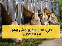 ليس وزيراً فقط.. علاء فاروق 'مهندس الفرص' للمزارعين يكشف حجم الفرصة: 57.3 مليون جنيه تُخلق 822 مشروعاً جديداً و41 مستقبل مستقل