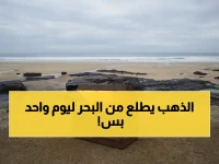 شاهد الذهب يسبح قبالة السعودية.. كنز أسطوري لا يظهر إلا يوماً واحداً كل عام! ظاهرة خرافية تملأ الجيوب وتذهل العقول! (صورة)