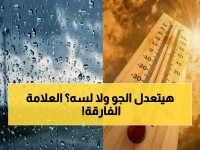 الإثنين ليس مجرد يوم عمل.. هذا الرقم (20°C) هو دليلك الرسمي لنهاية تقلبات الطقس!