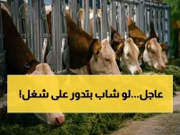 التوقع الذي لا يصدق حول دعم الشباب.. 57.3 مليون جنيه في يد الوزير علاء فاروق تغير حياة 41 أسرة