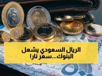 عاجل: بنك يقدم سعراً مُذهلاً للريال السعودي اليوم… قارن بين 14.180 و14.135 جنيه في ثوانٍ!