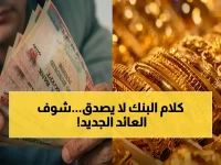 قرر البنك المركزي خفض الفائدة... لكن البنك الأهلي المصري يقدم حلاً يتحدى التوقعات بعائد 22%