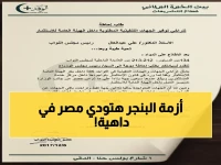 عاجل: نائب يكشف كارثة البنجر.. مزارعون على حافة الإفلاس وتهديد للأمن الغذائي المصري!