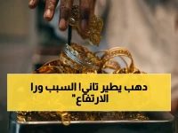 عاجل: الذهب يسجل ارتفاعاً صادماً للأسبوع الرابع… خبراء يكشفون السبب الخطير الذي يهدد استثماراتك!