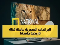 حصرياً: قناة آثار مصر القديمة 2026 تعلن عن انطلاقها بجودة HD على النايل سات… إليكم التردد الجديد!