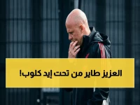 تحليلي الدقيق: طوق نجاة سلوت في ليفربول.. خطة 'الباب الخلفي' للبطولة الأوروبية قد تنقذ المدرب الهولندي