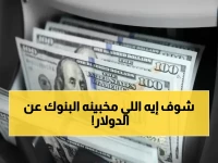 حصري: هل سيتغير سعر الدولار عند عودة البنوك غداً؟.. أسعار اليوم الثابتة تخفي أمراً خطيراً!