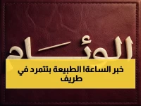 عاجل: طريف تسجل 21.4 ملم… الأمطار تتخطى المعدلات المألوفة في المنطقة بشكل صادم!
