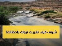 أمطار تبوك تغطي البديعة وشقري اليوم… شاهد كيف تحولت المناطق في لحظات!