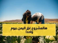 حصري: البرنامج السعودي يطلق مشروعًا زراعيًا يغير اليمن… استهداف 2300 أسرة وتوفير 13 ألف فرصة عمل!