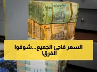 عاجل: البنك المركزي يكشف أرقاماً صادمة - الدولار في عدن يسجل 1632 ريالاً مقابل 540 في صنعاء!