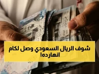 عاجل: أسعار الريال السعودي اليوم - تسجيل 13.82 جنيه للبيع في البنك الأهلي المصري