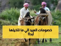 حصري: هيئة السياحة تطلق عروض العيد الصادمة... خياراتك لعيد الأضحى ستتغير 100%!