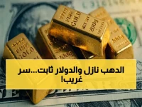 أهم سلعتين في السوق تتخذان قراراً غريباً... الجنيه الذهب والأونصة تخسر 40 جنيه و175 جنيه. لماذا يحدث هذا رغم ثبات الدولار؟