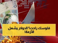 صادم: الفجوة تنفجر! الدولار بـ1558 في عدن مقابل 529 في صنعاء… الخبراء يحذرون من كارثة اقتصادية!