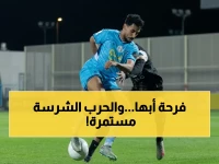 إعلان رسمي: أبها يحسم الصعود ويطارد اللقب.. أما الوصافة فتحولت إلى حرب بين الفرق!