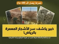 خبراء يكشفون: كيف حافظت الهيئة الملكية على أشجار عمرها 100 عام أثناء تطوير الدائري الجنوبي بالرياض؟