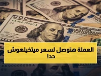 سلطة عالمية (ستاندرد آند بورز) تطلق تنبؤاً ينصف كل أخبار التعافي الحالي... الرقم الصادم: 66 جنيه للدولار في يونيو 2029.