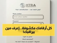 شاهد كيف تكتشف الأرقام المخفية المسجلة باسمك بالرقم القومي فقط… خطوة واحدة تقيك من الخطر!