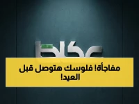 عاجل: قرار غير مسبوق من «المالية» - صرف راتب مايو للموظفين يوم 24 مباشرة… لتأمين متطلبات العيد بمرونة عالية!