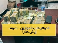 صادم: أسعار الدولار تنهار في صنعاء وترتفع في عدن… اختلافات هائلة تثير التساؤلات!