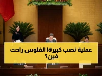 عاجل: تصريح صادم عن الاستثمارات الضائعة في فيتنام - مندوبون يفضحون تشتت 71% من الأموال ويدفعون بنسبة 5% للملكية الفكرية!