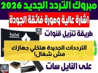 ترددات صادمة: MBC Action تكشف عن سر البث الأقوى في تاريخها.. تأكد من جهازك الآن قبل التحديث القادم!