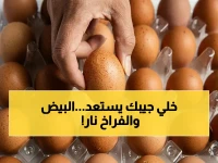 عاجل: انفجار الأسعار يضرب البيض والدواجن… كرتونة البيض تصل لـ 104 جنيهاً للمستهلك! وأرقام صادمة للفراخ البلدي والبيضاء